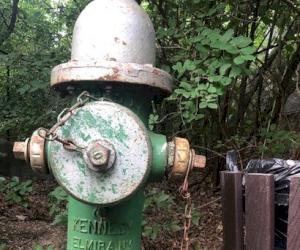 Kennedy hydrant spotted at Bronx Zoo